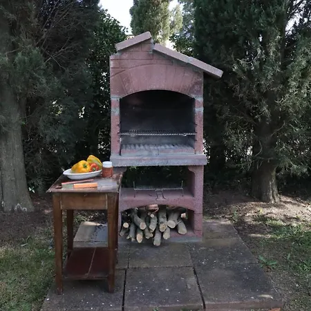 Zuccherini *
